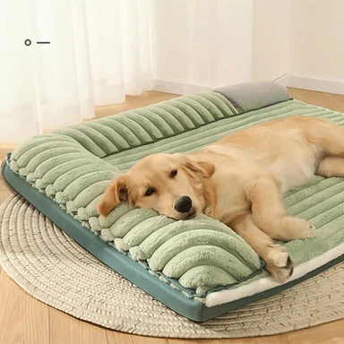 O1CN01qhAzfH24NdM0XBGIg704407379 O1CN01qhAzfH24NdM0XBGIg704407379